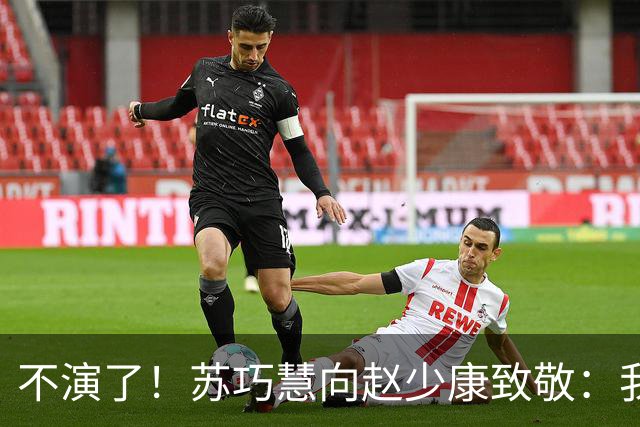 不演了！苏巧慧向赵少康致敬：我是最新的时代、最好的选择
