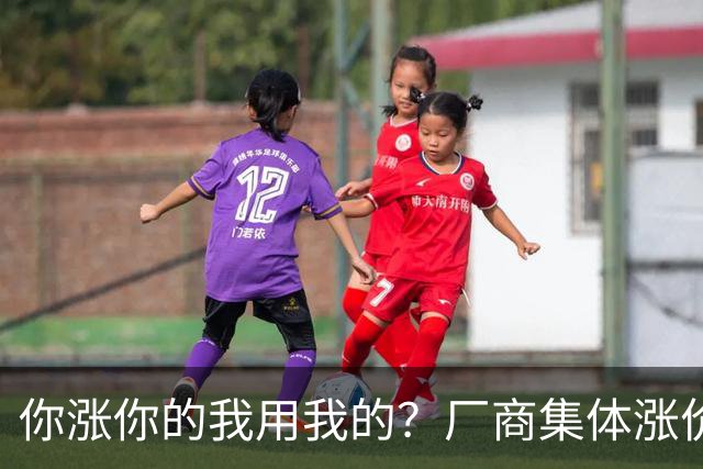 你涨你的我用我的？厂商集体涨价，消费者不买账，旧手机再战三年