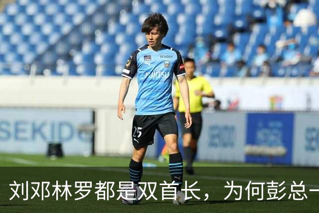 刘邓林罗都是双首长，为何彭总一直是司令兼政委？毛主席的用人算术