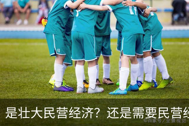 是壮大民营经济？还是需要民营经济？