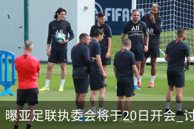 曝亚足联执委会将于20日开会 讨论亚洲杯延期事宜