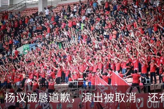 杨议诚恳道歉，演出被取消，还有374万债务没还，文旅局介入核查