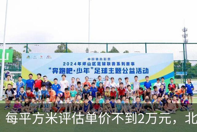 每平方米评估单价不到2万元，北京170套独栋别墅第三次整体挂牌，会有人接盘吗？