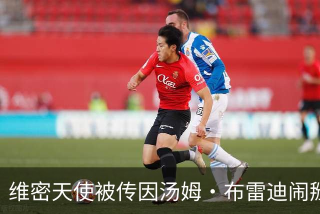维密天使被传因汤姆·布雷迪闹掰，坎蒂丝代表回应