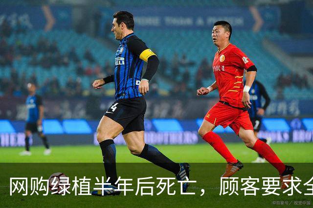 网购绿植半年后死亡，顾客要求全额退款，商家拒绝后被投诉到闭店并被告上法庭