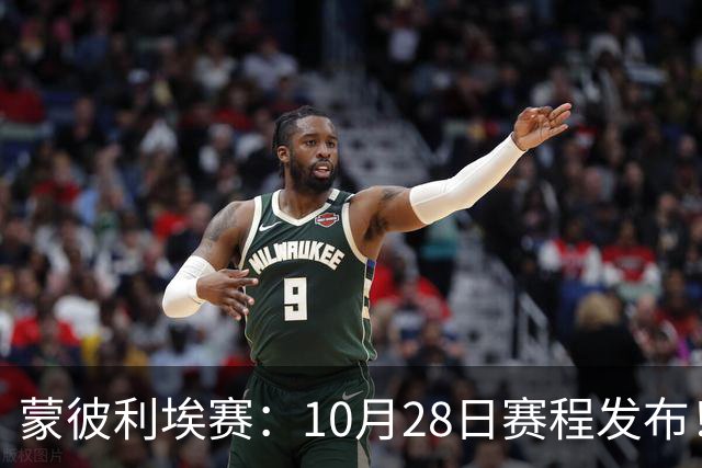 蒙彼利埃赛：10月28日赛程发布！国乒5人出战，王曼昱大迪迎强敌
