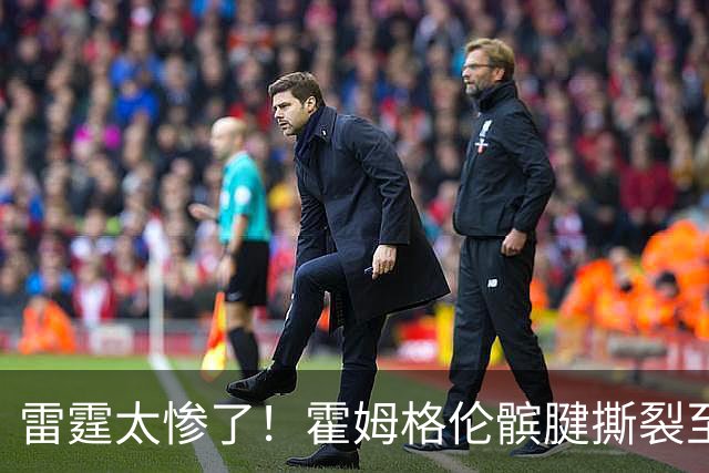 雷霆太惨了！霍姆格伦髌腱撕裂至少休战8-10周 首发五虎倒下三位