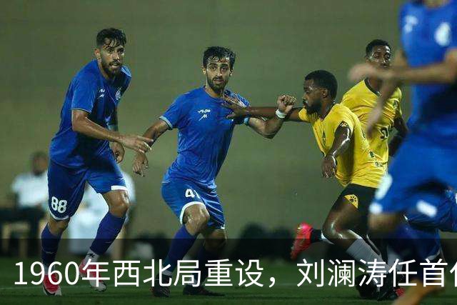 1960年西北局重设，刘澜涛任首任书记，其他书记都有谁？