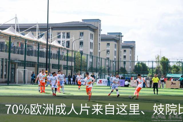 70%欧洲成人片来自这里、妓院比学校多，捷克的桃色不是开放是穷